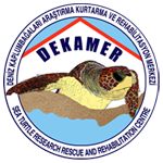DEKAMER Deniz Kaplumbağaları Araştırma, Kurtarma ve Rehabilitasyon Merkezi logosu